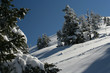 Winter in mountains