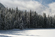 Winter in Tatra moutains