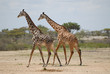 Tanzania