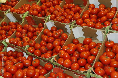 Photo: Tomates Tomates