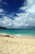Beautiful Beach in Caribbean Beautiful Beach in Caribbean