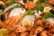Fische und Garnelen auf Eis