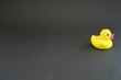 Single Rubber Duck