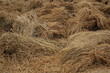 Hay