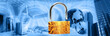 Wireless security montage