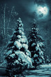 Snow-covered evergreens Snow-covered evergreens