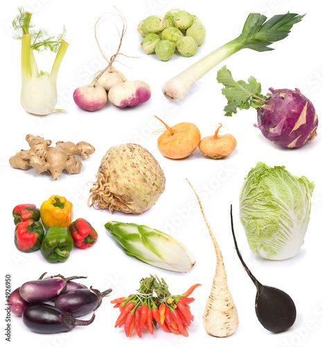 fresh vegetables fresh vegetables