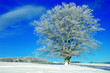 Winterlandschaft 30 Winterlandschaft 30
