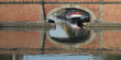 le Canal à Toulouse