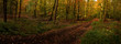 der weg