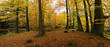 golden trees