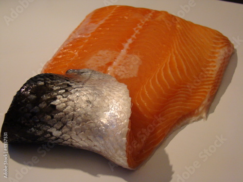 Photo: saumon saumon