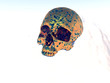 Metal War Skull