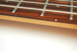 Guitar Bass's Neck