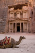 Camel in front of Treasury Petra Jordan Camel in front of Treasury Petra Jordan