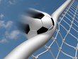 Volley
