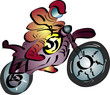 a0013 - Motocross a0013 - Motocross