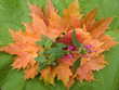 Autumn still life Autumn still life