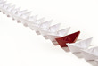 competitive paper ships 