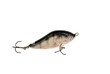 Perch