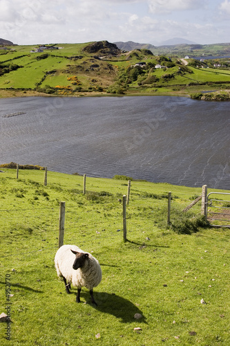 paysage irlande