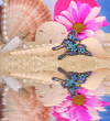 Butterfly Jewelry on Beach