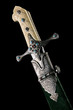 Ancient sabre. 