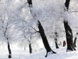 Winter in China, Wusong Island. Winter in China, Wusong Island.