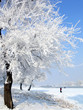 Winter in China, Wusong Island.