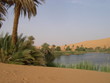 Oasis