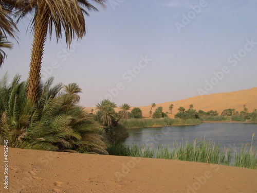 Oasis