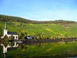 Foto: Weinort an der Mosel Weinort an der Mosel