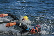Images : trihatlon 10