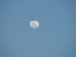 Lua Lua