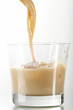 liqueur in glass liqueur in glass