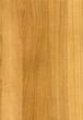 Close-up wooden Beech natural texture