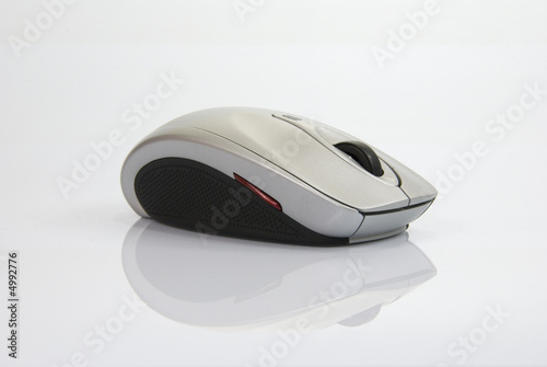 souris souris