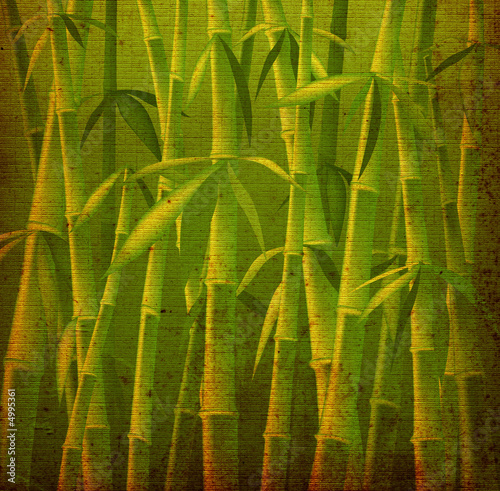 Illustration: bamboo trees bamboo trees