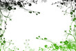 Cadre fleuri noir vert
