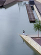 Hombre en el lago Hombre en el lago