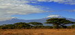 Kilimanjaro