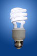 Compact Fluorescent Bulb Compact Fluorescent Bulb