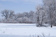 peaceful winter