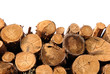 Cut trunks on white background