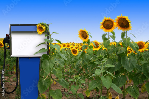 BioDiesel