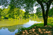 central park central park