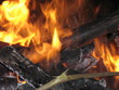 Lagerfeuer