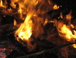 Feuer
