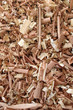 Wood Shavings 6 Wood Shavings 6