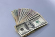 money fan